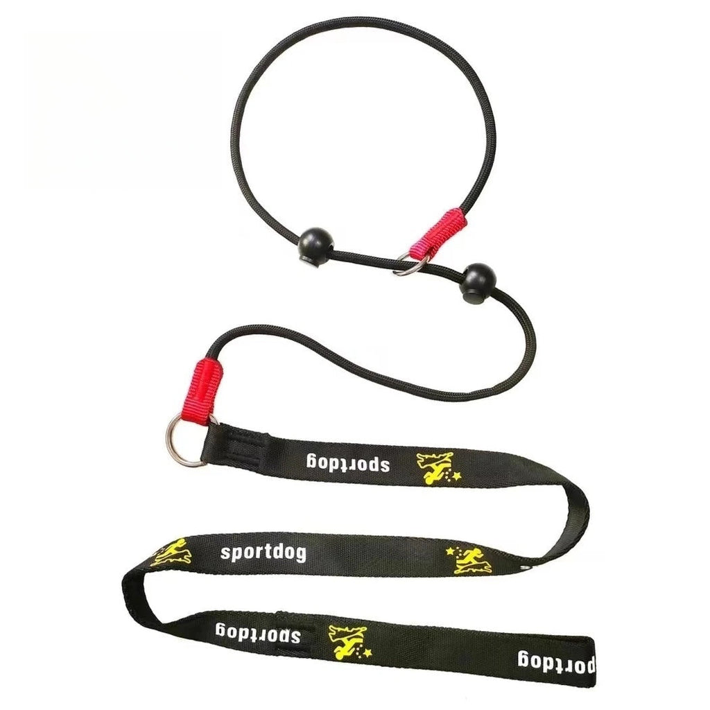 2-in-1 Slip-Lead Dog Leash – Training Collar & Walking Lead with Anti-Tangle Swivel