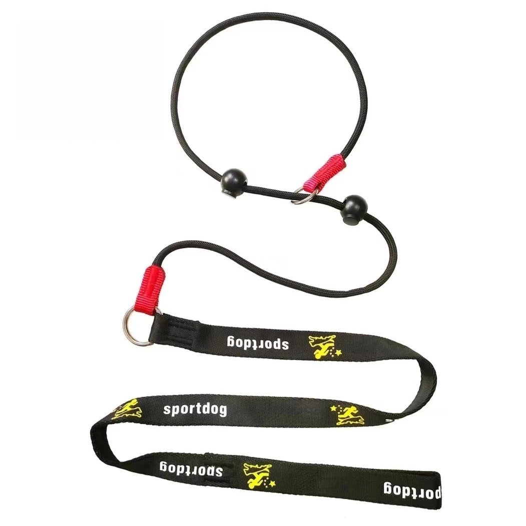 2-in-1 Slip-Lead Dog Leash – Training Collar & Walking Lead with Anti-Tangle Swivel