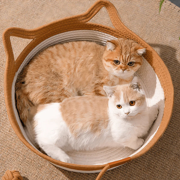 CutyPet™ Basket
