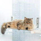 CutyPet™ Foldable Hammock